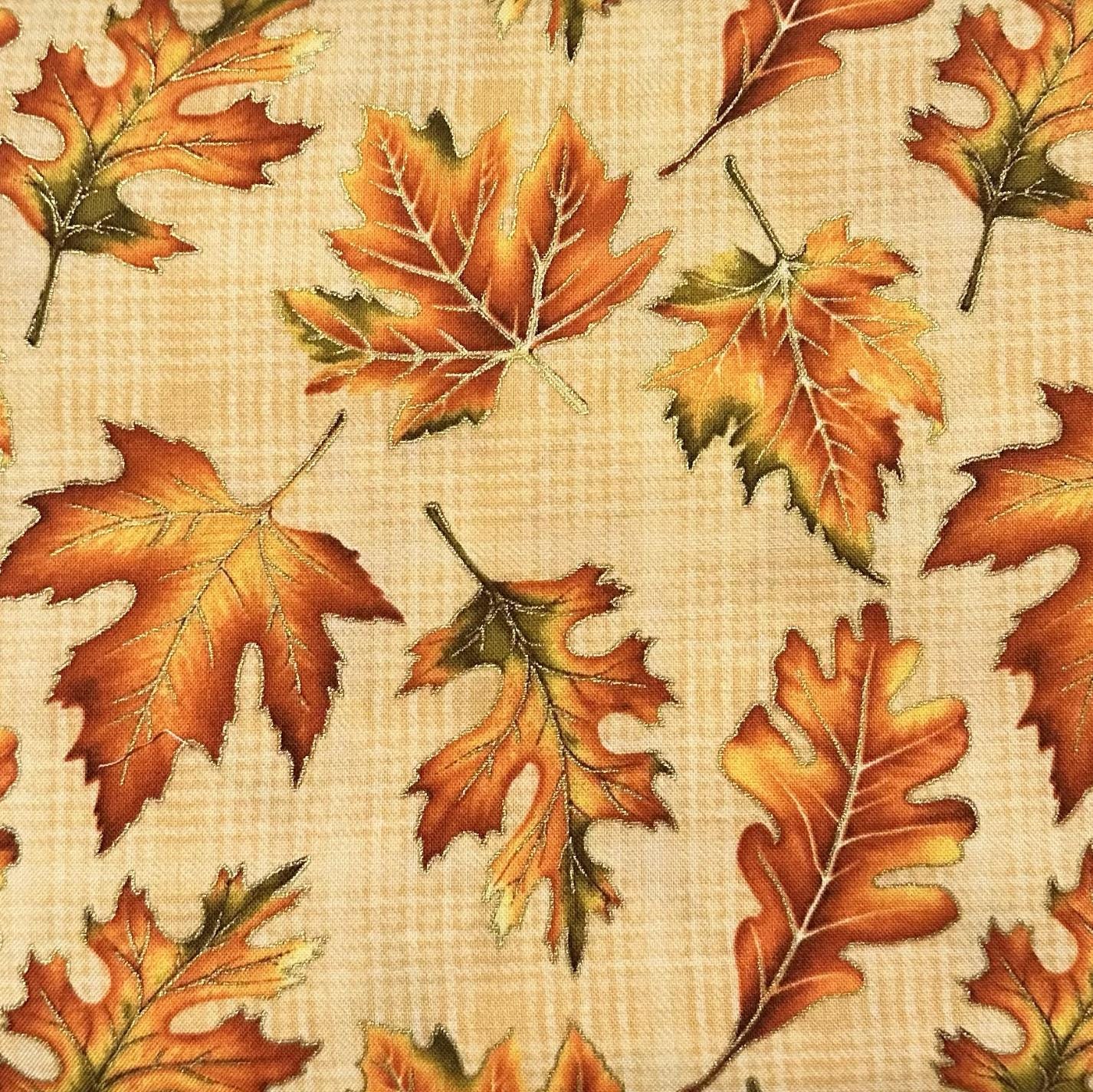 Autumn K-mini Cover